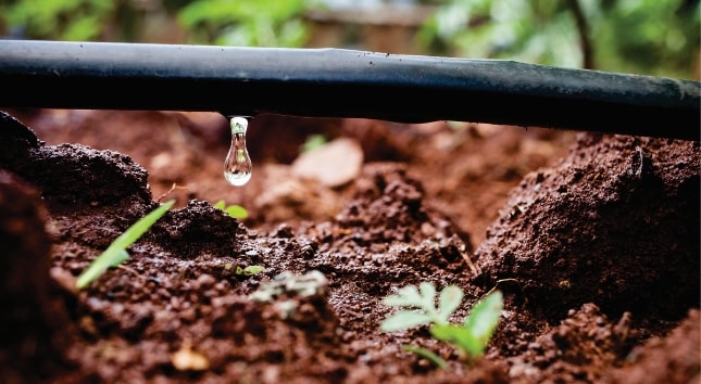 1° projeto de irrigação